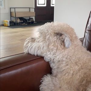 Meet your Posher, Julia